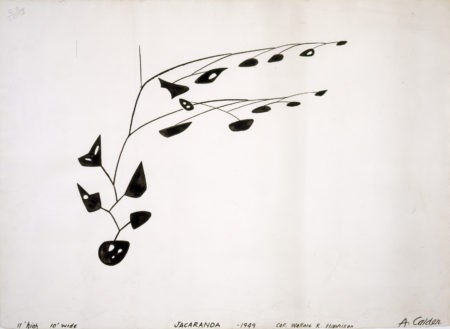 Illustration of Jacaranda (1950)