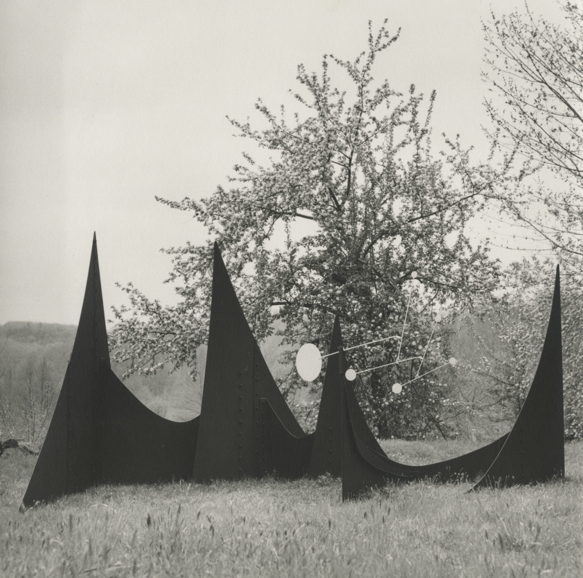 Calder Around the World Calder Foundation