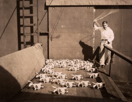 Bullie Toddlers (1929)