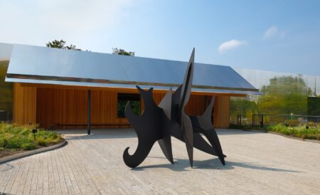 Cock’s Comb (1961)