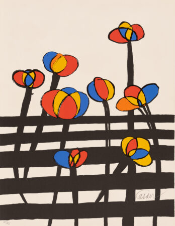 Untitled (1972)